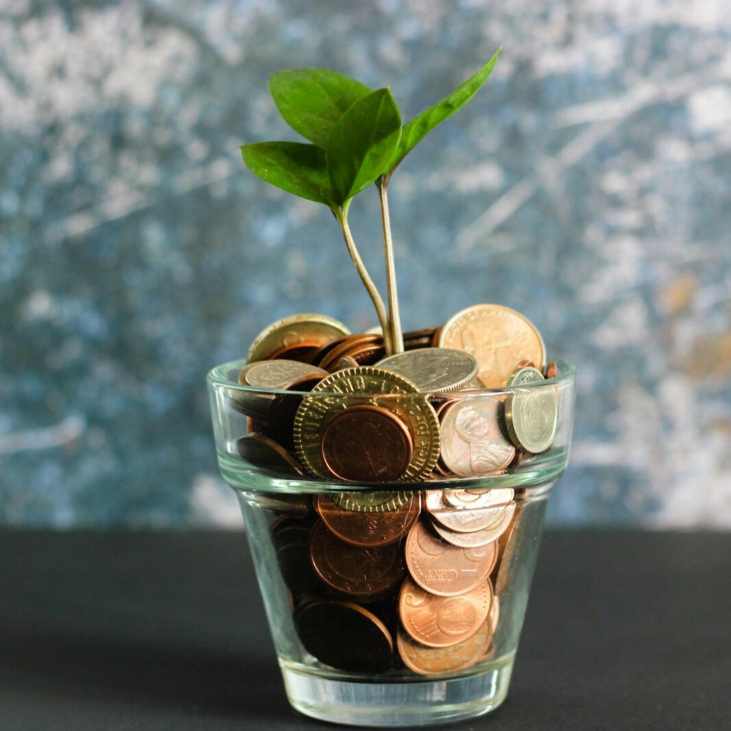 pink pig figurine on white surface